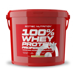 Scitec Nutrition 100% Whey Protein Professional (4 kg)